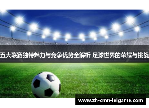 五大联赛独特魅力与竞争优势全解析 足球世界的荣耀与挑战 五大联赛独特魅力与竞争优势全解析 足球世界的荣耀与挑战