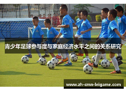 青少年足球参与度与家庭经济水平之间的关系研究
